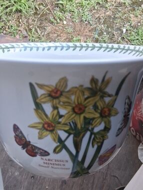 Portmeirion White Ceramic Planter